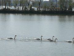 -艾溪湖湿地公园