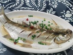 太湖白鱼-太湖好灶头土菜馆(石公路店)