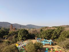-白马涧龙池景区