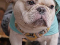 -EAU CAFE(永康路店)