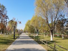 -瀛海足球主题公园