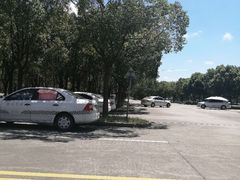 -安飞驰驾校·学车连锁(金高店)