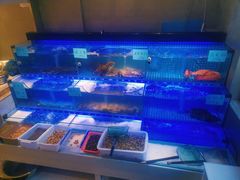 水产区-阿毛饭店(和义路店)
