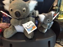 iphone_upload_pic-Gloria Jean's Coffees