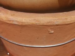 -十六蒲(桂林路店)