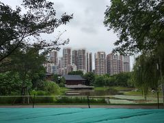 -堤角公园