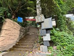 -南山植物园
