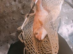 -ジャンボ釣船 つり吉(新世界店)