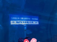 -常州海昌海洋探索馆
