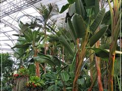 -北京植物园-展览温室