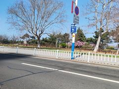 -悦海公园