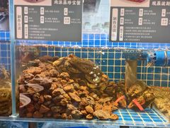 -東大方(湖州白鹭迎店)