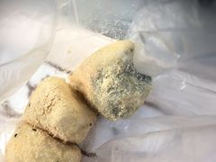 -运栋天马牛肉饼(林科大店)