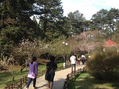 景点-庐山风景区花径公园