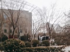 -雁滩公园