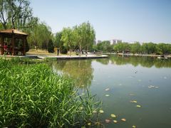 -太阳宫公园