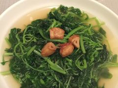 -金悦轩海鲜酒家(银河店)