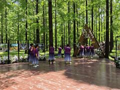 -黄海国家森林公园