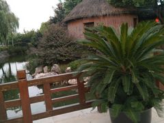 -渭塘酒家(生态园店)