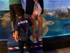 -烟台海昌鲸鲨海洋公园