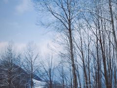 -太子岭滑雪场
