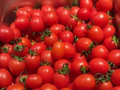 -蜀锦堂·川味现炒(襄阳武商汇店)