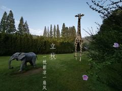 -棒棰岛宾馆景区