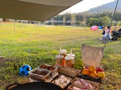 -风云岭森林公园