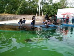 -北戴河圣蓝海洋公园