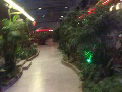 -森谷美食公园(杨行店)
