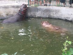 -保定市动物园