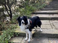 -杭州半山国家森林公园