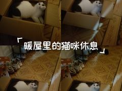 -深圳野生动物园