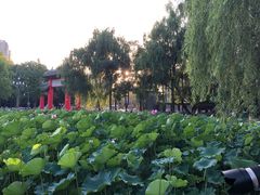 -四川大学(望江校区)
