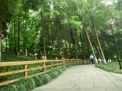 -温江公园