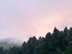 -武陵山森林公园