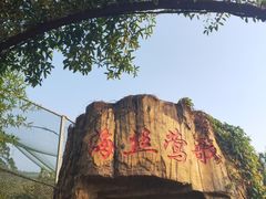 -泉州海丝野生动物世界