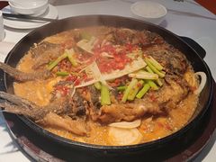 -老板恋上鱼(高新万达店)