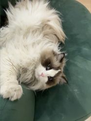 点击看大图 -Sugar苏格婚礼策划工作室