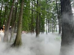 -东湖落雁景区