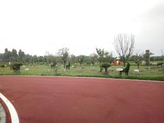 -夏河溪乡野公园