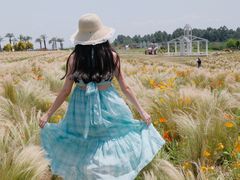 -空港花田景区