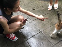 -巴金故居