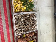 -双喜农庄·菌香园(安居家园店)
