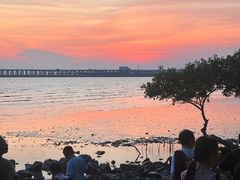 -宝安西湾红树林湿地公园