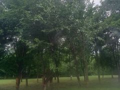 -黄河小浪底水利枢纽风景区