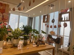 -dōTERRA多特瑞精油生活馆