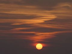 -阿军排档·烧烤