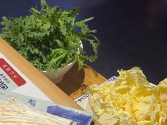 -东镇老火锅(城阳瑞阳路店)