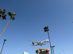 -In-N-Out Burger(LAX)